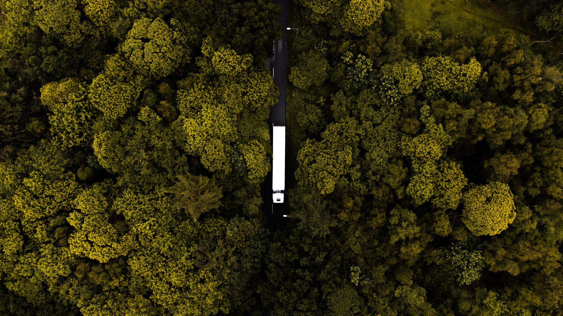 A tractor-trailer traveling along a winding road through a forest